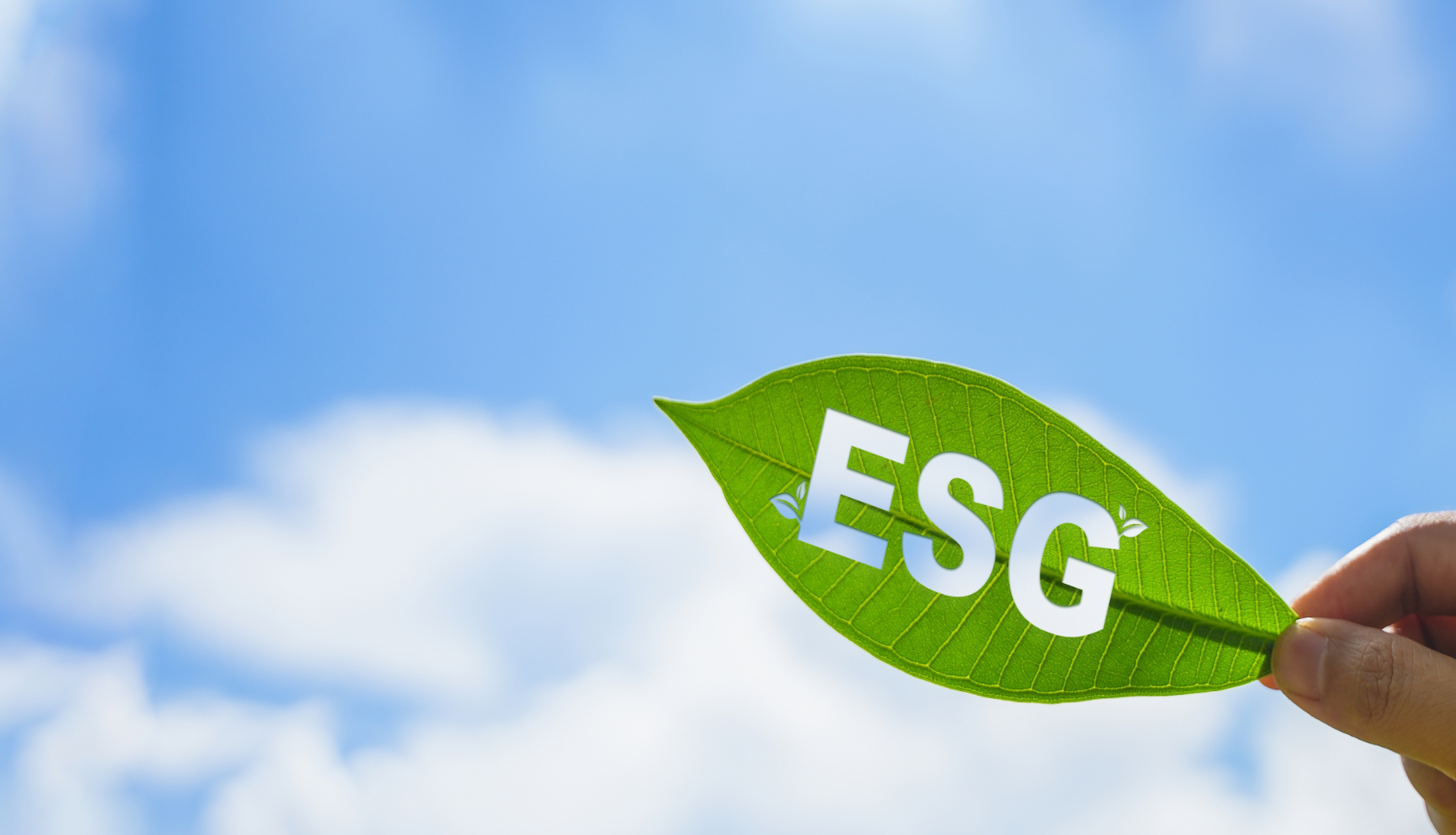 sustainability overview