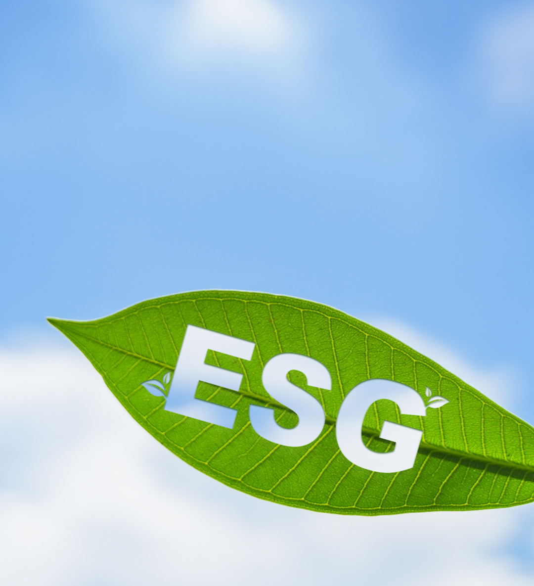 sustainability overview